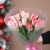 Букет "Фламинго" из 11 пионовидных тюльпанов в Лыткарино Букет "Фламинго" из 11 пионовидных тюльпанов в Лыткарино