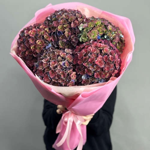 Букет из 5 космических Голландских гортензий в Лыткарино