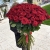 Букет из 101 красной розы (90 см) в Лыткарино Букет из 101 красной розы (90 см) в Лыткарино