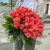Букет 51 роза коралл (60 см) в Лыткарино Букет 51 роза коралл (60 см) в Лыткарино