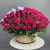 Композиция в корзине из 151 малиновой розы в Лыткарино Композиция в корзине из 151 малиновой розы в Лыткарино