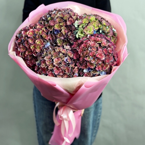 Букет из 5 космических Голландских гортензий в Лыткарино