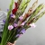 Букет из 25 гладиолусов микс в Лыткарино Букет из 25 гладиолусов микс в Лыткарино