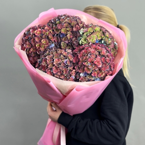 Букет из 5 космических Голландских гортензий в Лыткарино