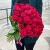 51 малиновая тепличная роза Шангрила (70 см) в Лыткарино